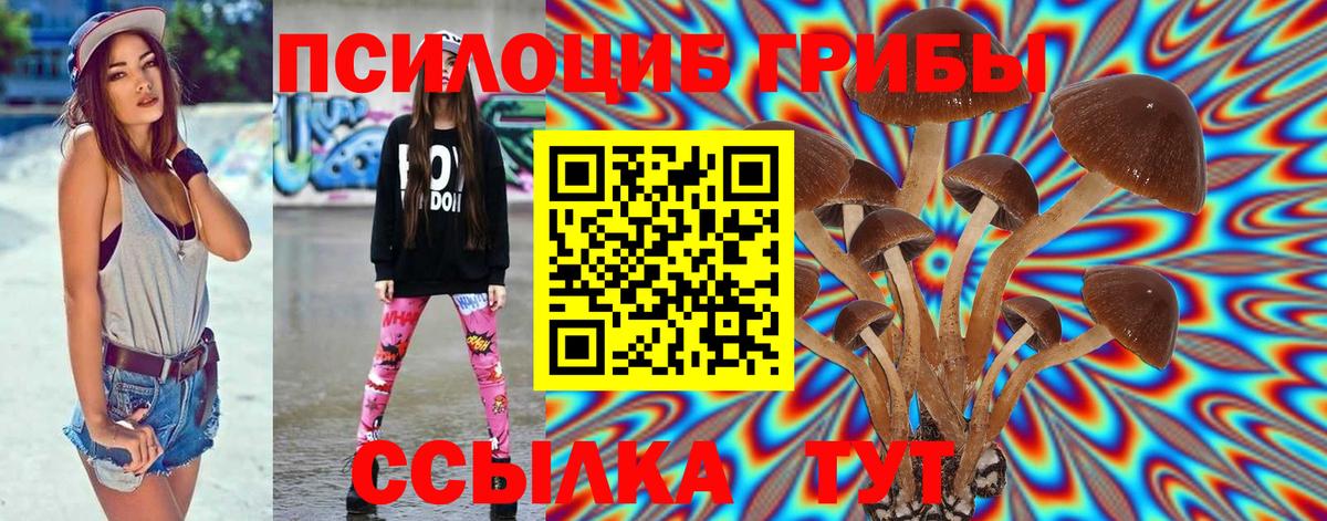 Одинцово  Псилоцибиновые грибы ЛСД  Вход с VPN 